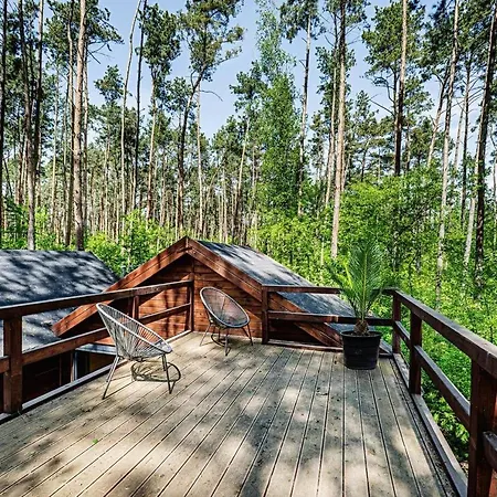 Lesny Nad Jeziorem Wielkopolska *