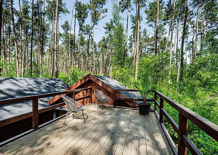 Lesny Nad Jeziorem Wielkopolska *